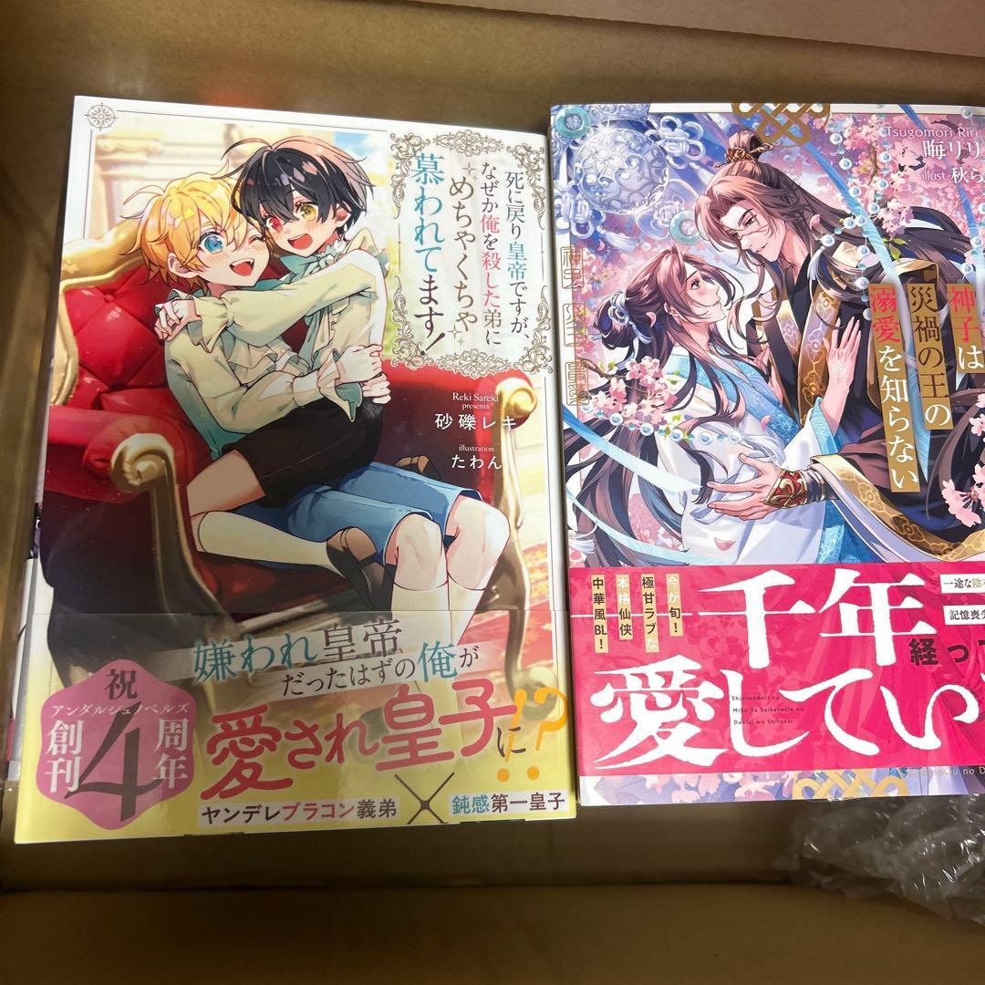 bl小説大判サイズ纏め売りセット　アンダルシュノベルズ他