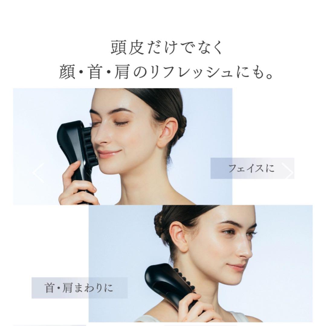 マイトレックス モーションブラシ VIDO ビドー MT-VD22B