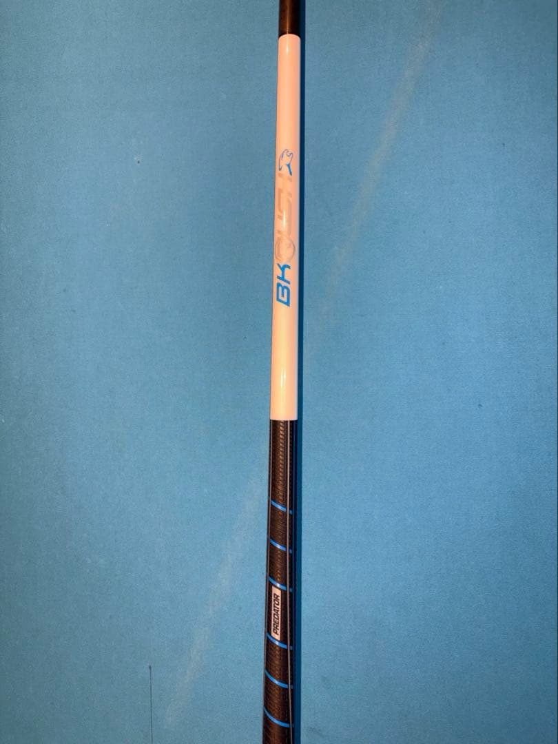 ミネルヴァページ