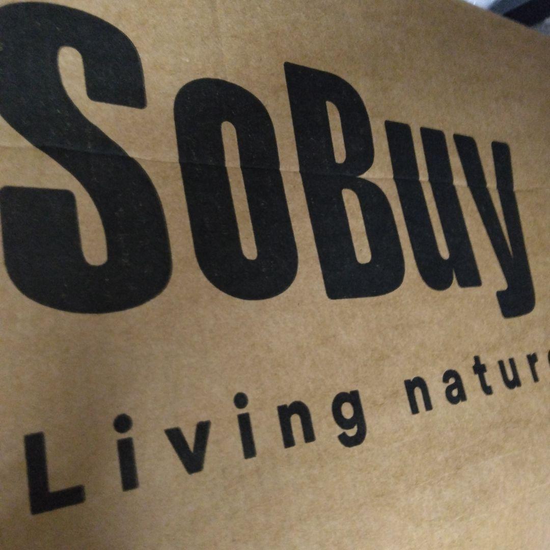 SoBuy サイドボード キャビネット リビングボード (BZR13-W)