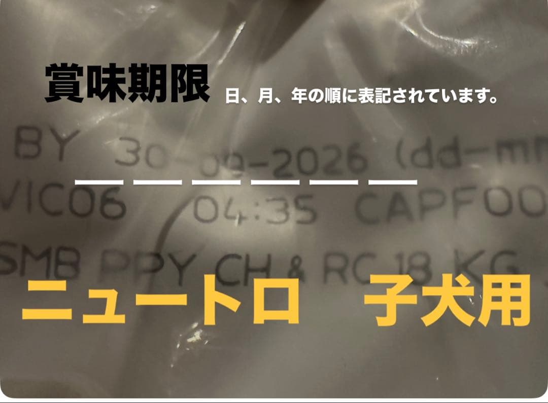 ニュートロ ドライドッグフード 18kg アメリカ製