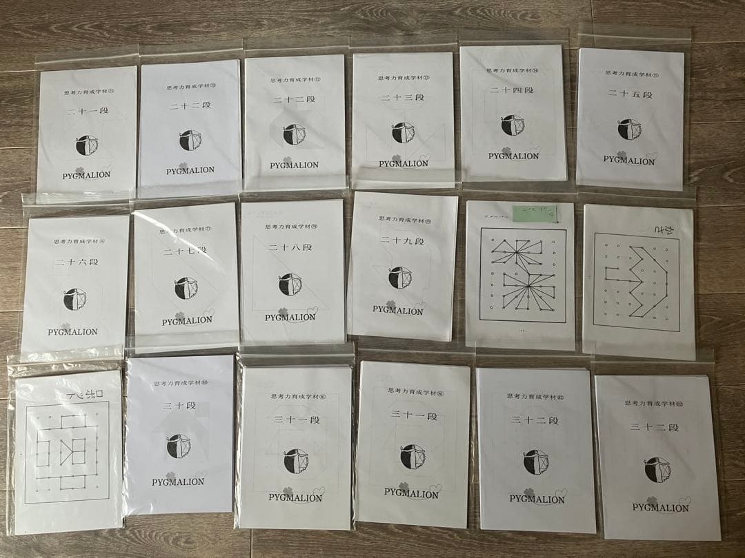 【希少・袋入】ピグマリオン 思考力育成教材 17点セット 二十一段〜三十二段