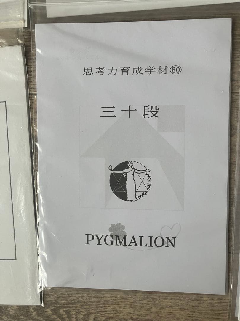 【希少・袋入】ピグマリオン 思考力育成教材 17点セット 二十一段〜三十二段