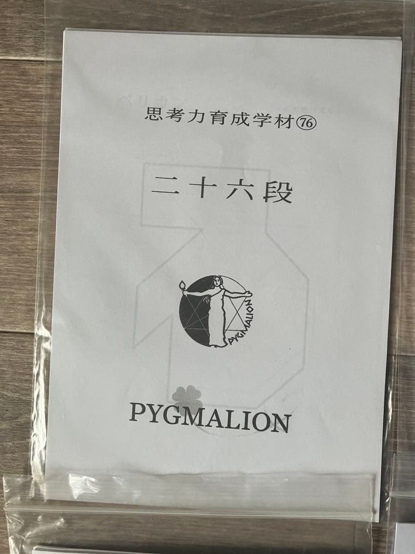 【希少・袋入】ピグマリオン 思考力育成教材 17点セット 二十一段〜三十二段