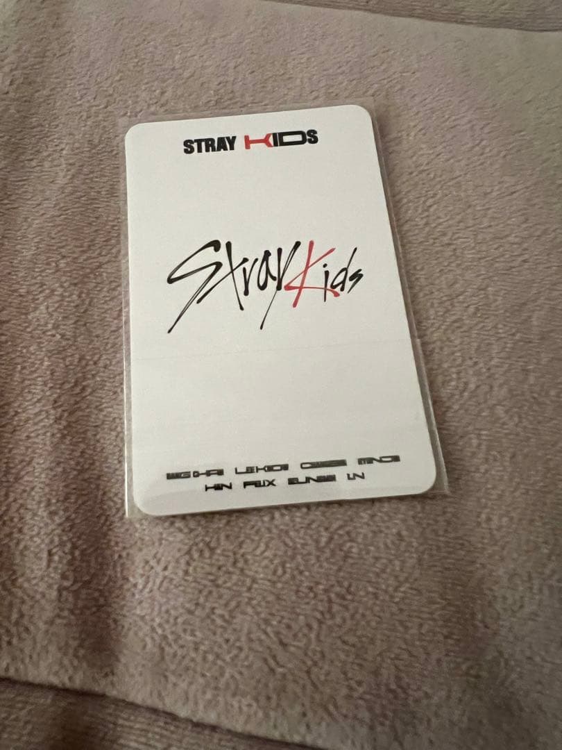 stray kids リノ GO生 中国 予約 限定トレカ lee know