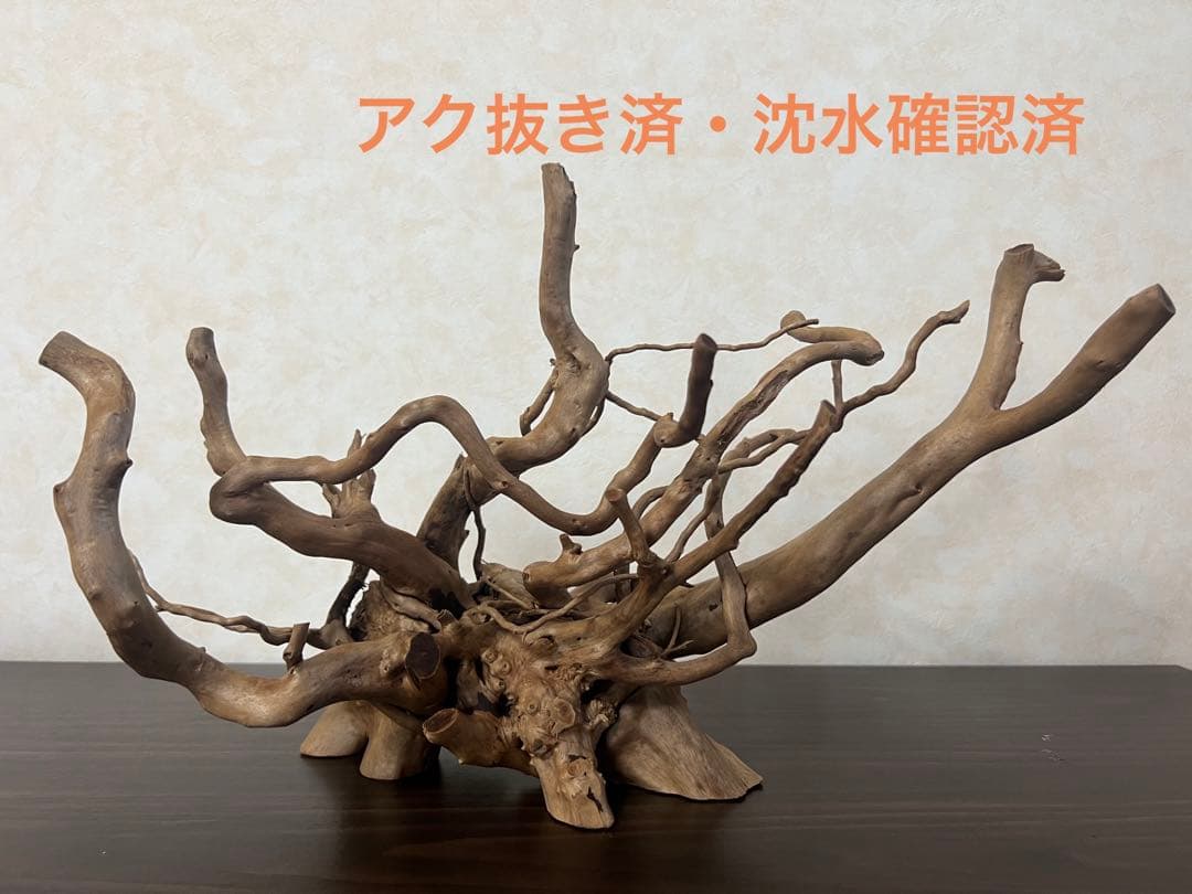 10116ブランチウッド　流木　アクアリウム 沈水確認済
