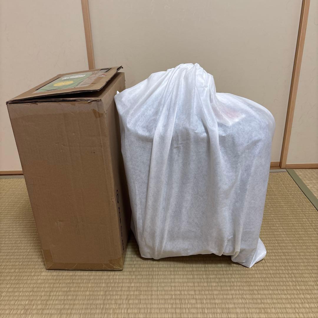 ace.／エース パリセイド3-Z スーツケース 21L