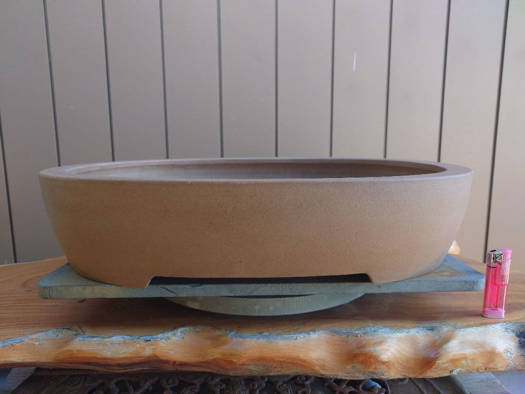 盆栽　鉢　角山　幅56.2cm