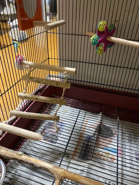 確認用　ハシゴ