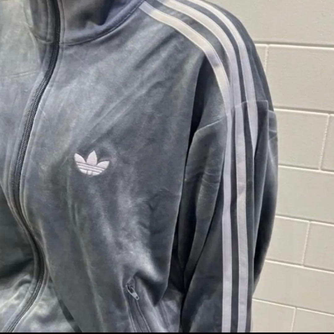 りんご adidas ファイヤーバード ベロア トラックトップ Mグレー