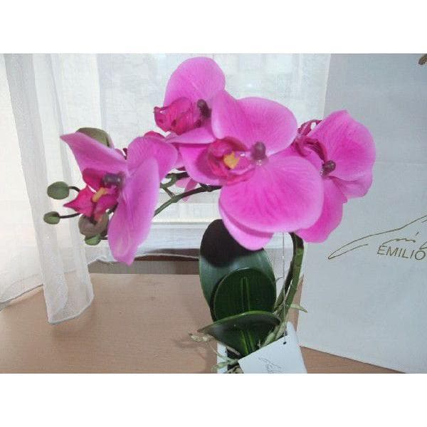 エミリオ・ロバEMILIO ROBBA胡蝶蘭２本立て未使用品