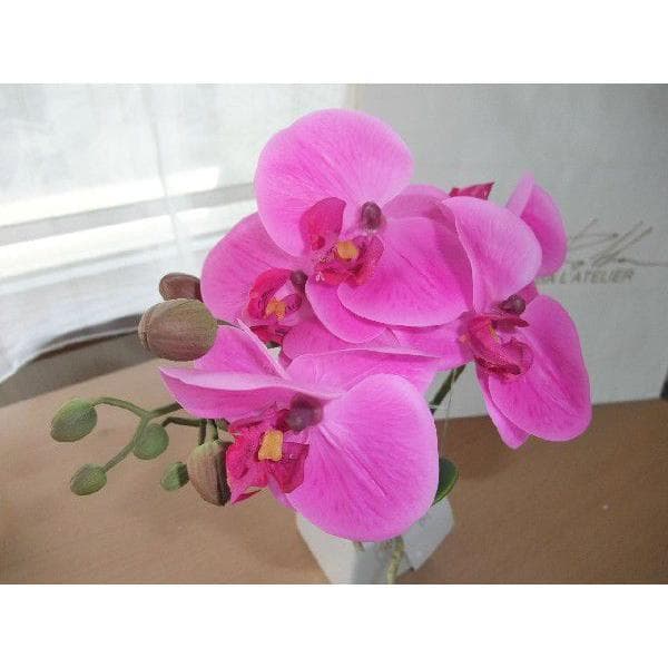 エミリオ・ロバEMILIO ROBBA胡蝶蘭２本立て未使用品