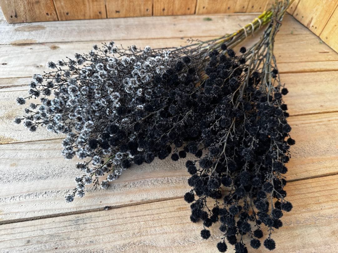 ⭐akikokoko⭐様 リクエスト 2点 まとめ商品