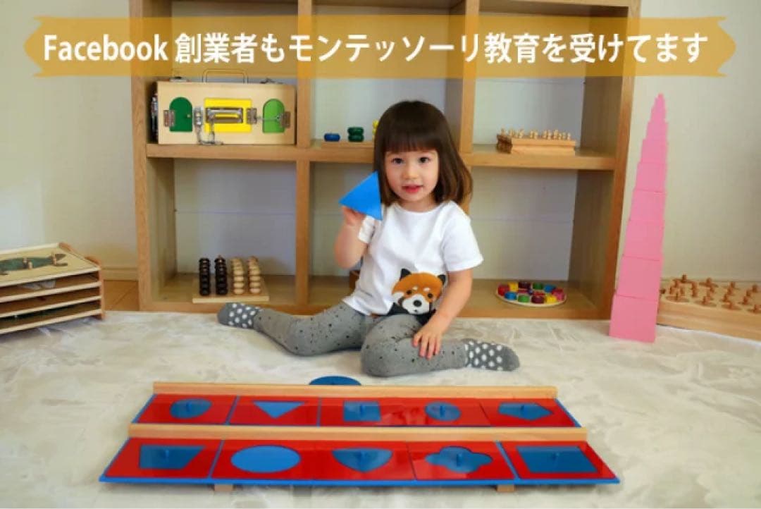 モンテッソーリ　知育玩具 メタルインセッツ　木製台付き　幾何図形パズル