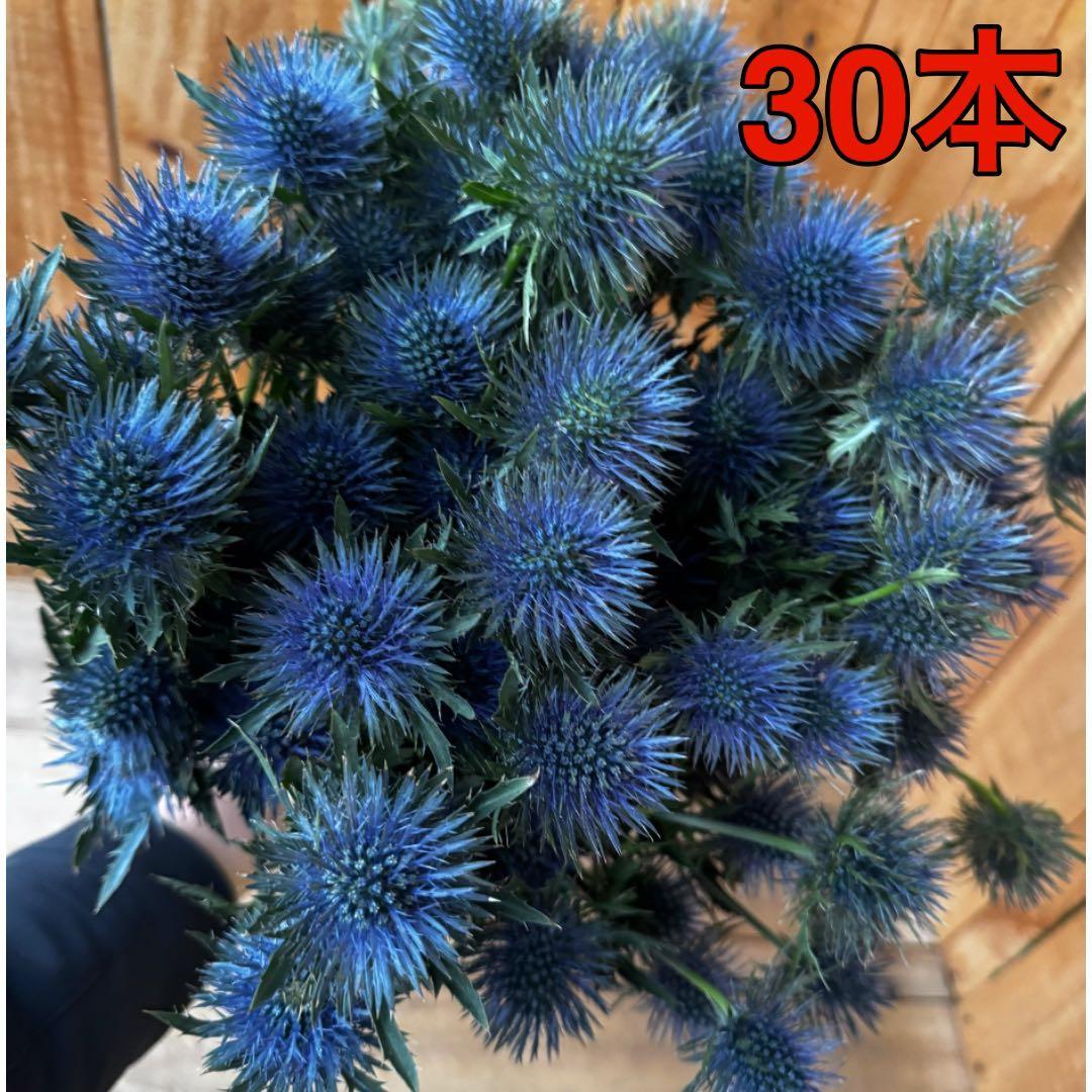 Fluffy様 リクエスト 3点 まとめ商品