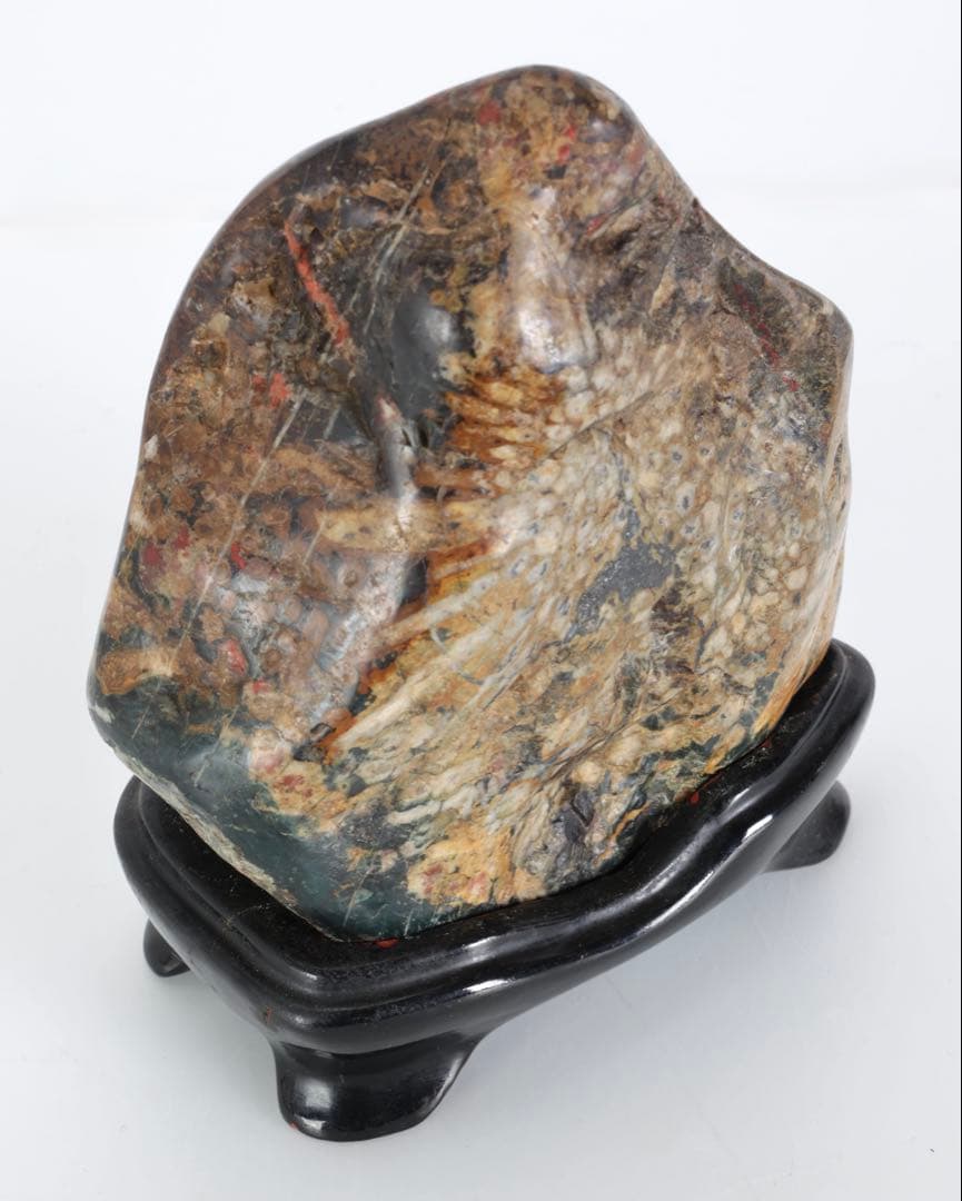 根尾谷 菊花石 サバ菊 八重一輪 紋石 共箱 台座付 872g 鑑賞石 水石