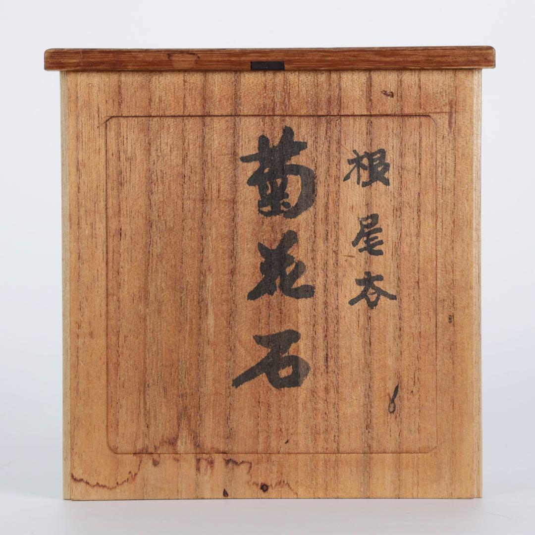 根尾谷 菊花石 サバ菊 八重一輪 紋石 共箱 台座付 872g 鑑賞石 水石