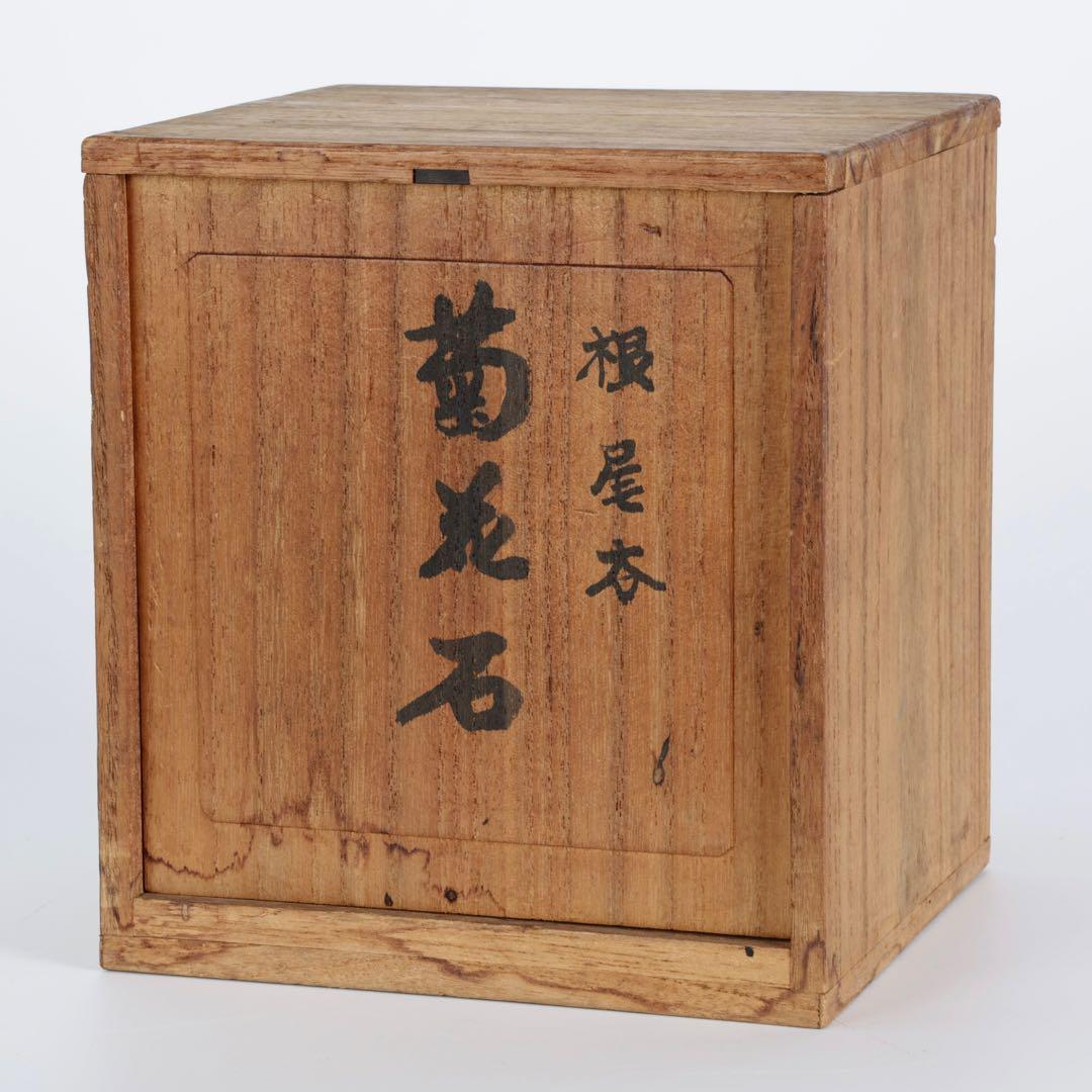 根尾谷 菊花石 サバ菊 八重一輪 紋石 共箱 台座付 872g 鑑賞石 水石