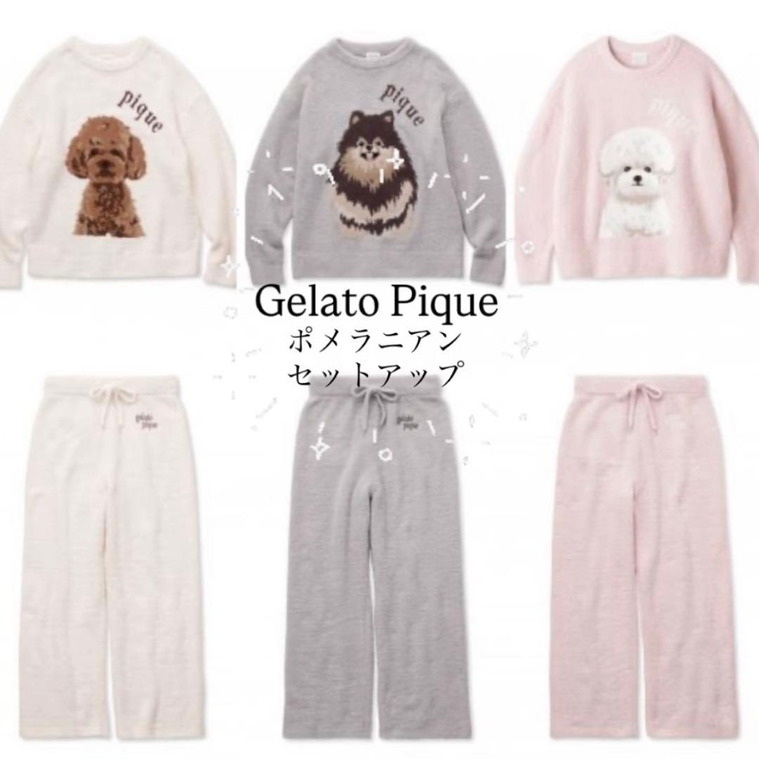 即購入可❣️完売品❣️超レア❣️ジェラートピケ ポメラニアン ジャガード セットアップ