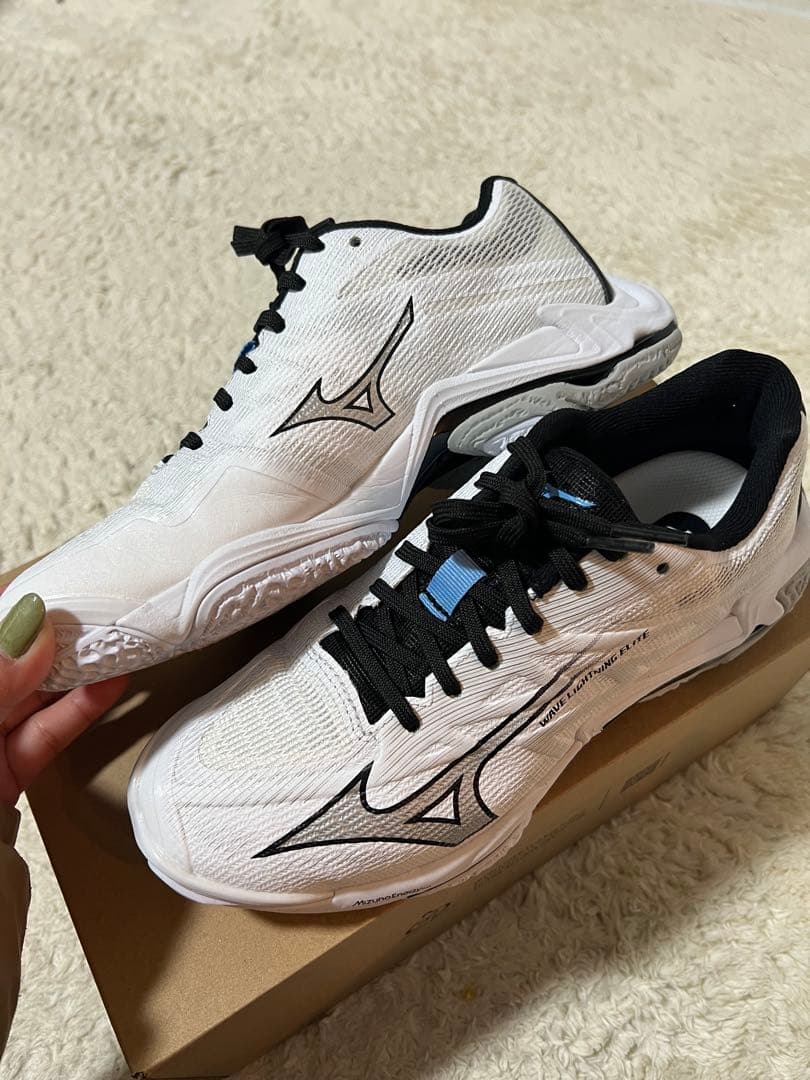 ミズノバレーボールシューズ新作　24.5cm