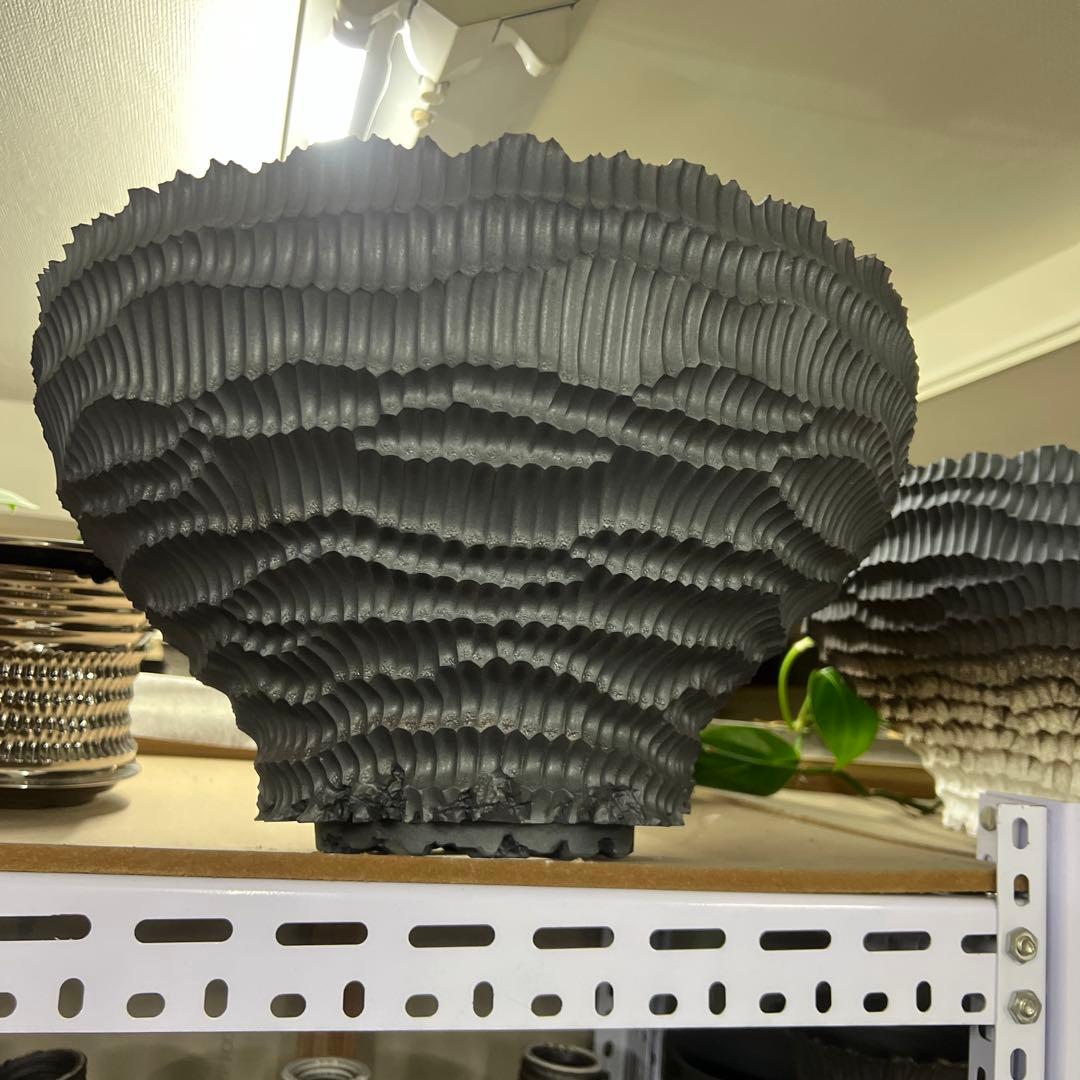 勝徳 樣确认 特大 手作植木鉢 検（ 塊根植物 グラキリス パキプス アガベ)