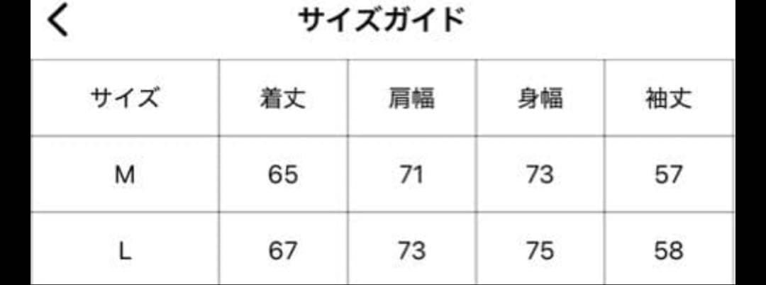 ballsy brothers fur flight jacket Lサイズ