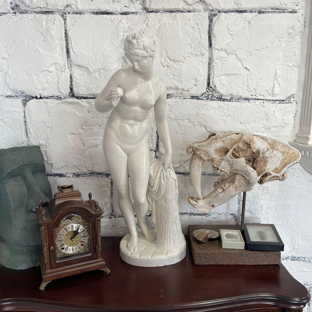 女神アプロディーテーの像 高さ:59cm