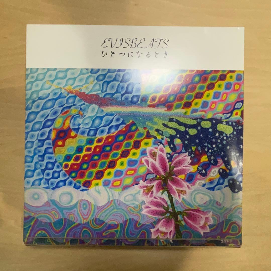 EVISBEATS ひとつになるとき 2LP レコード　ゆれる　いい時間　田我流
