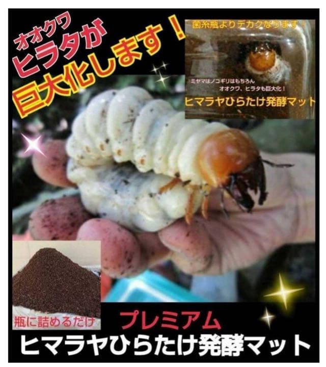 ミヤマクワガタ、ノコギリ幼虫に抜群！800mlボトル入プレミアム発酵マット30本