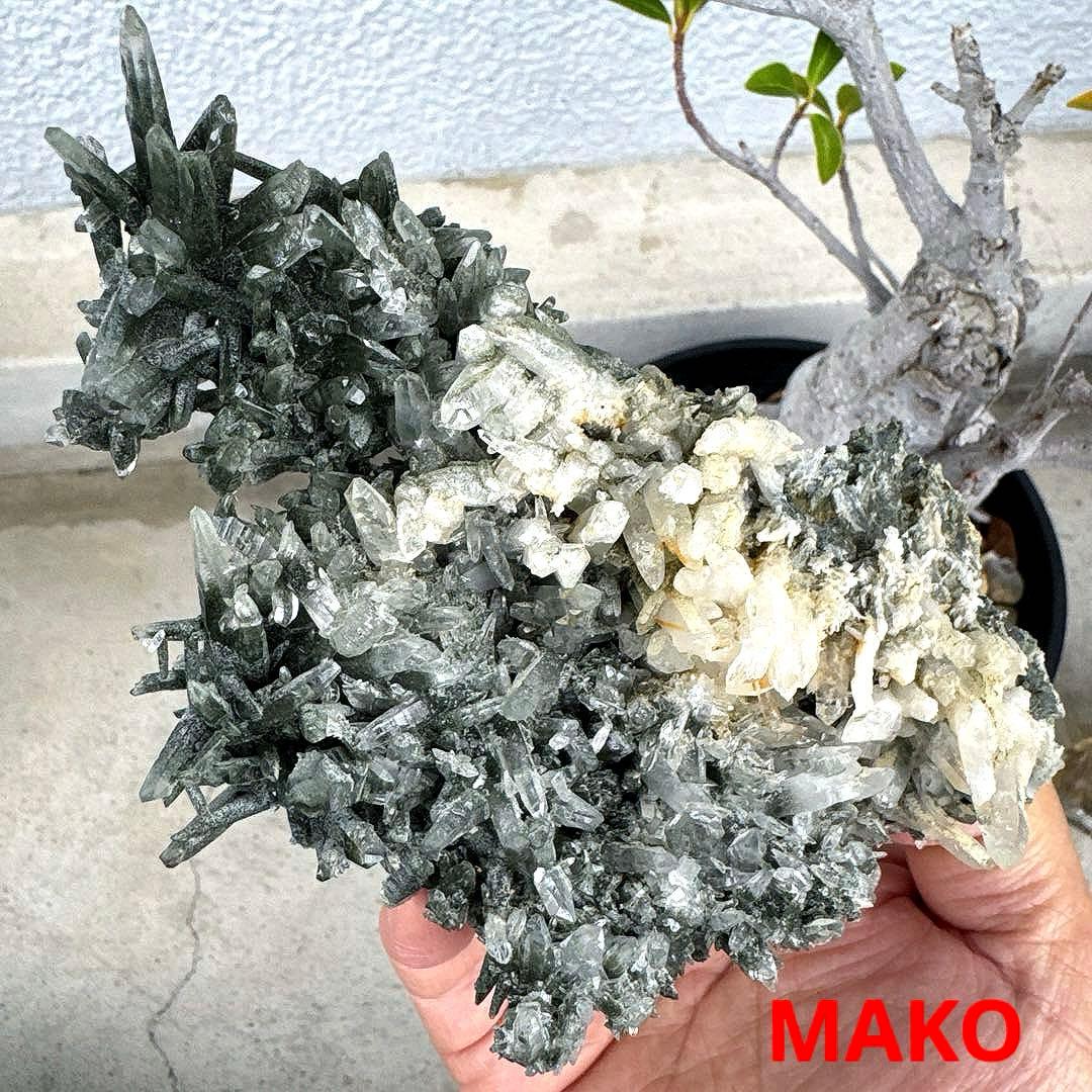 M1815☆ヒマラヤ水晶クラスター316g☆ガネッシュヒマール☆N5087-D