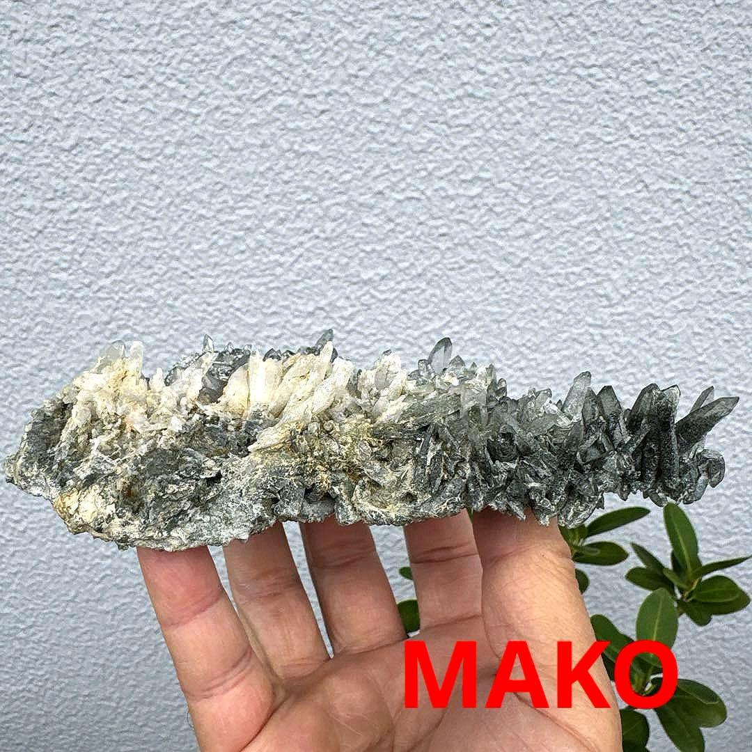 M1815☆ヒマラヤ水晶クラスター316g☆ガネッシュヒマール☆N5087-D