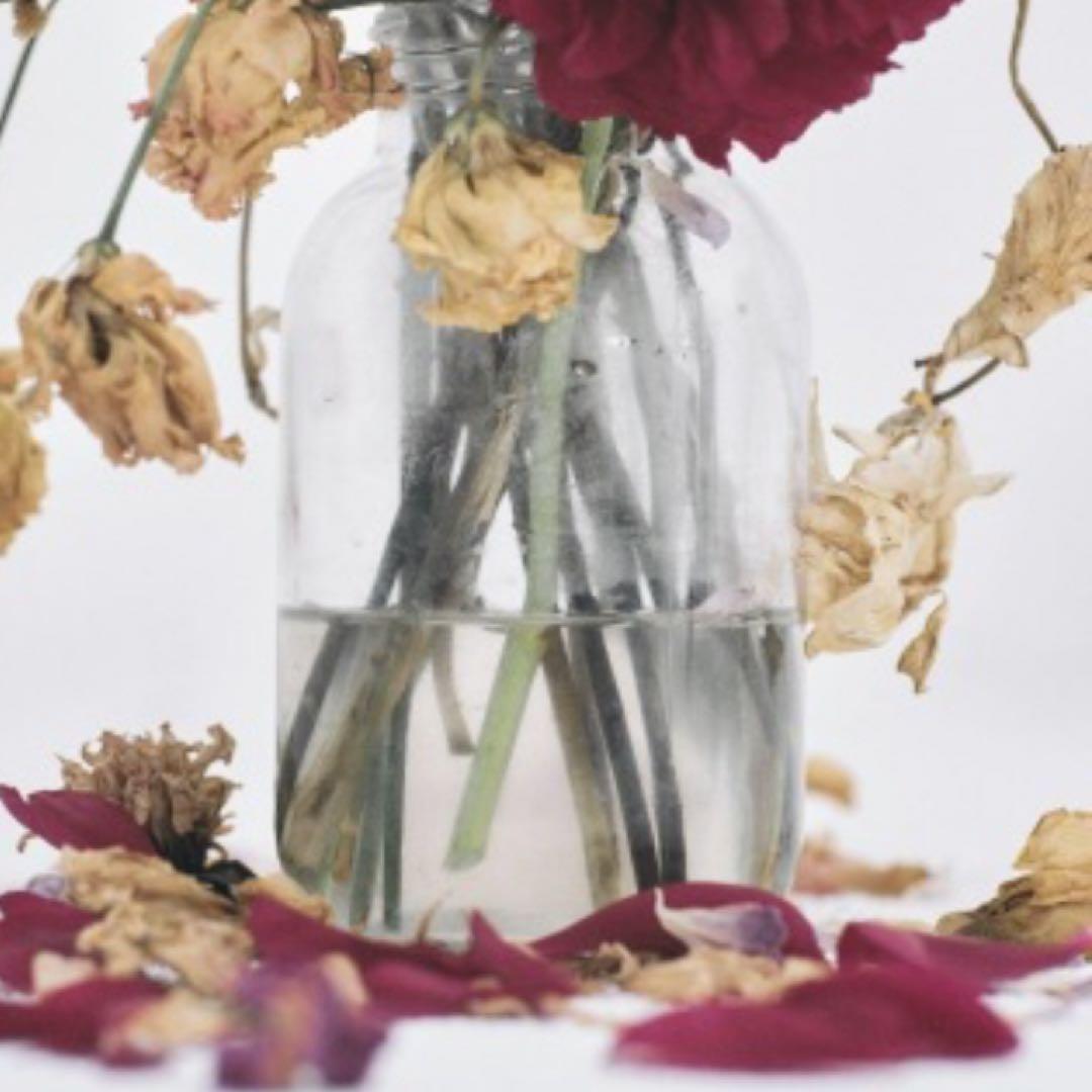 唾奇 武道館Camellia LP (2 vinyl set)