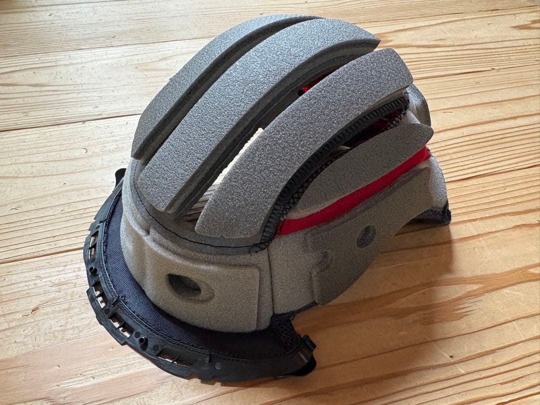 HORNET ADV INVIGORATE ✖️ SWANS MX-TALON