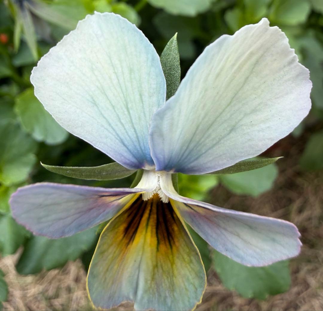 tami様　おまとめ用画面