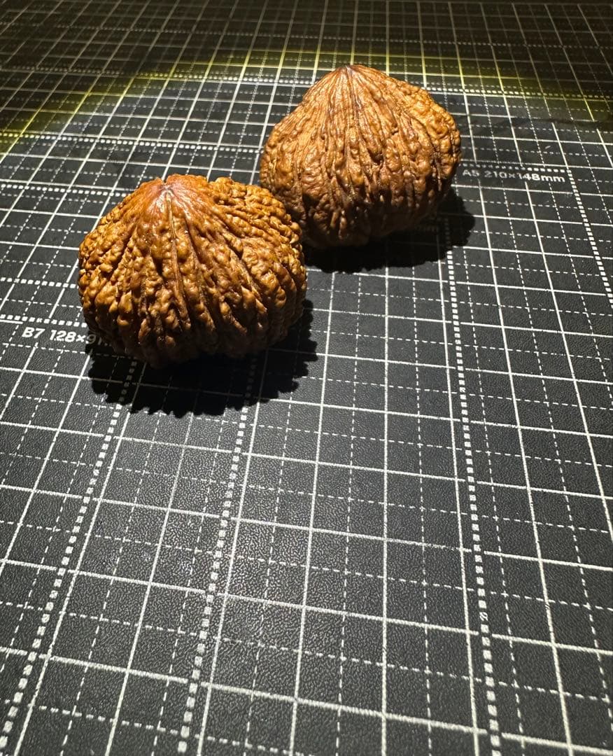 ハンドウォールナット 核桃