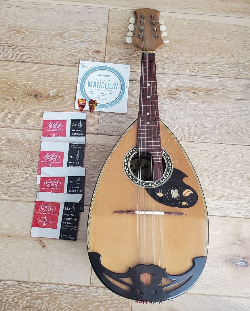 鈴木バイオリン ヴィンテージ マンドリン