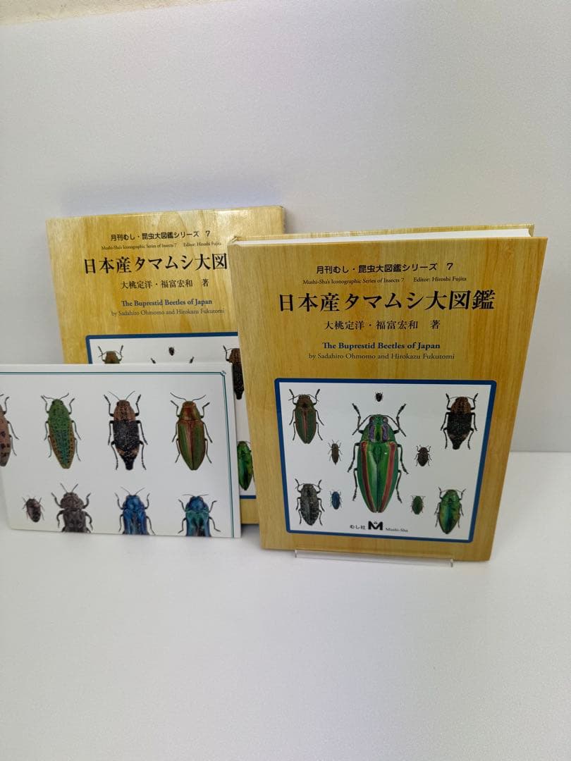 【むし社】日本産タマムシ大図鑑
