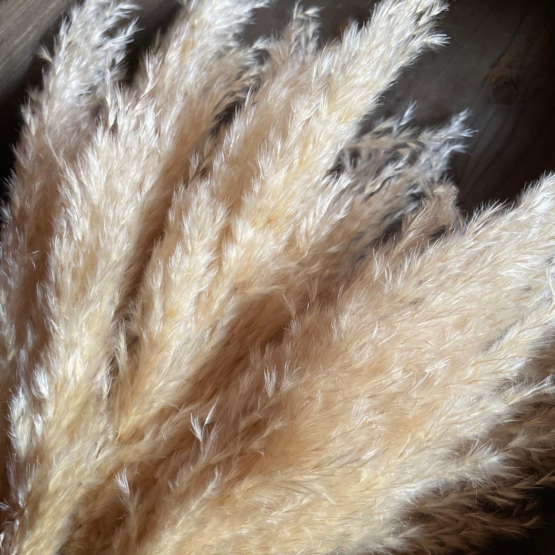 12月分専用ページ　240本