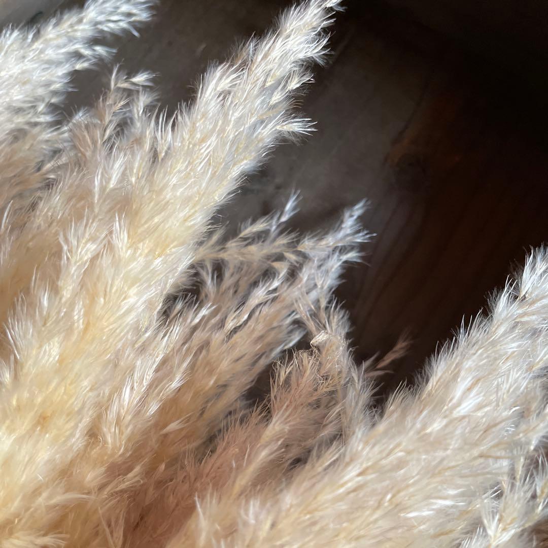 12月分専用ページ　240本