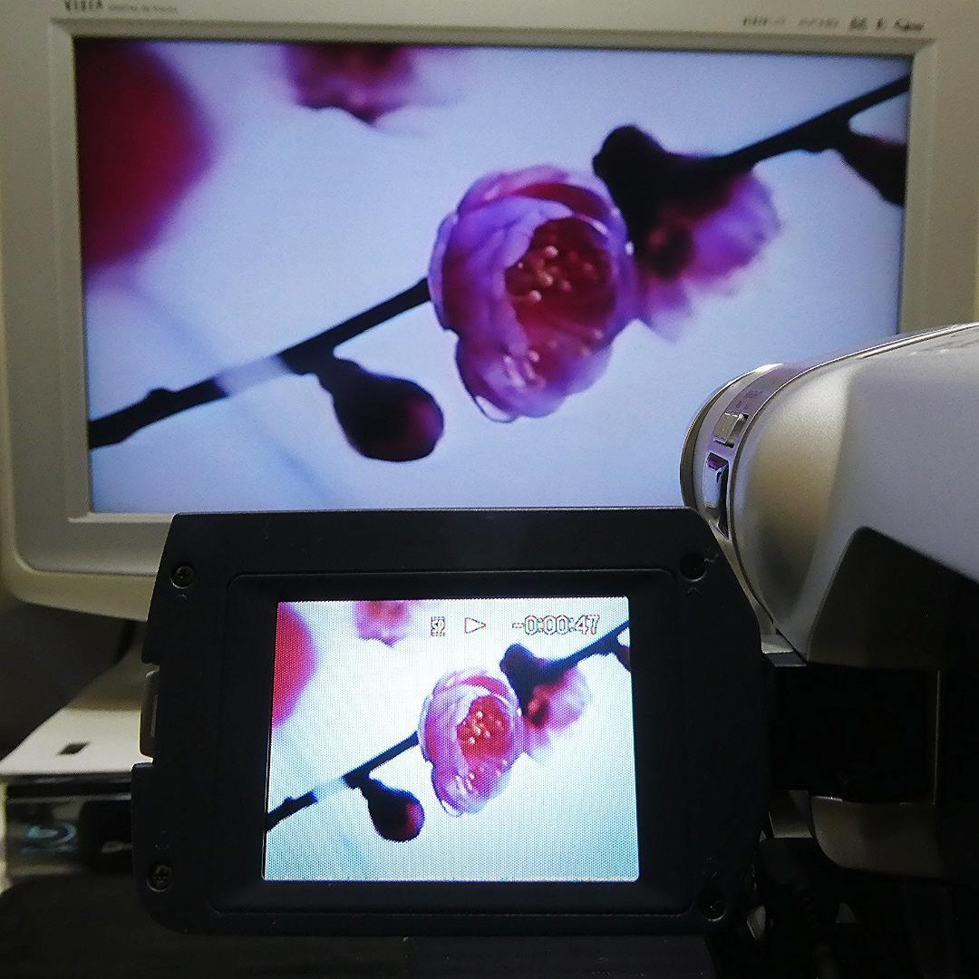 動作良好 Hi8ソニー CCD-TRV106 8ミリビデオカメラ DVD化に最適