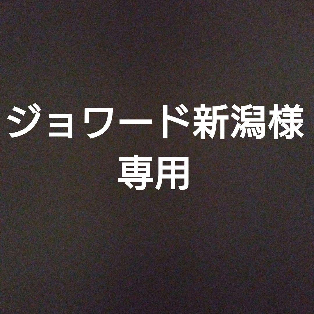 モルガンコンチョ コンチョベルト カウントアップ オールドカンパニー