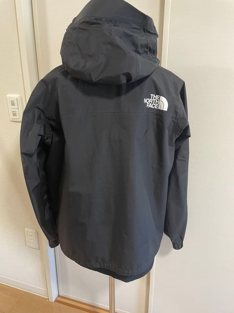 ノースフェイス GORE-TEX ゴアテックス マウンテンレインテックスL