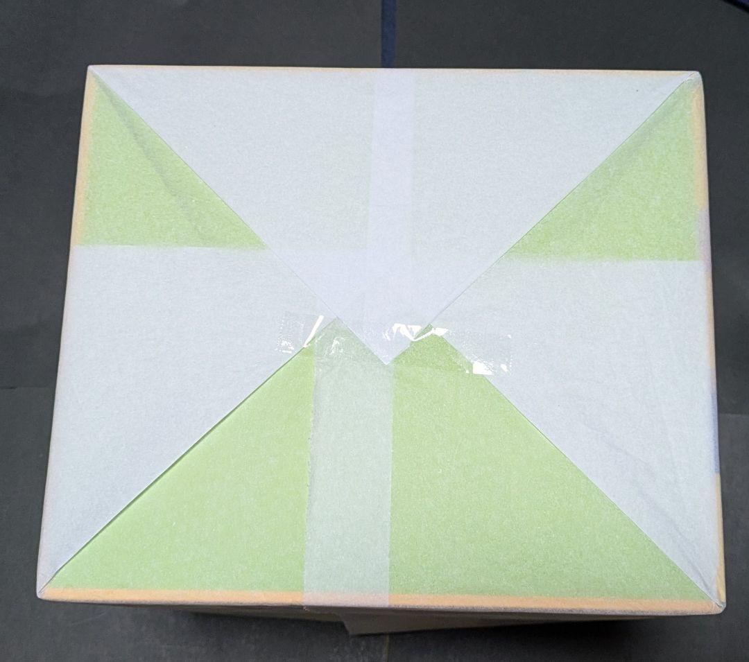 【未使用品】ボンバーガール パイン サキュバスチアコスVer