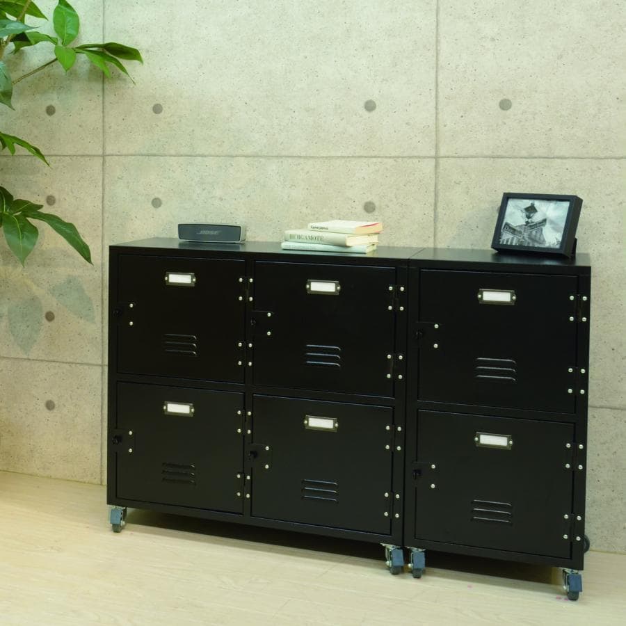 東谷 ラルド チェスト2D TPN-30GR 1514