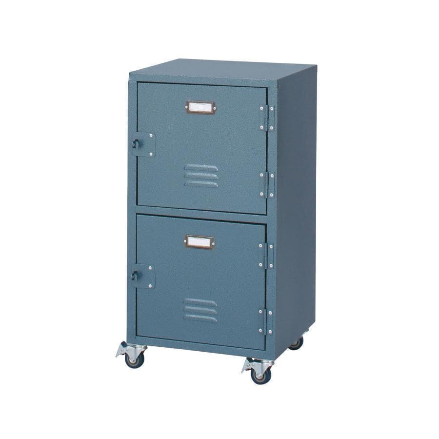 東谷 ラルド チェスト2D TPN-30GR 1514