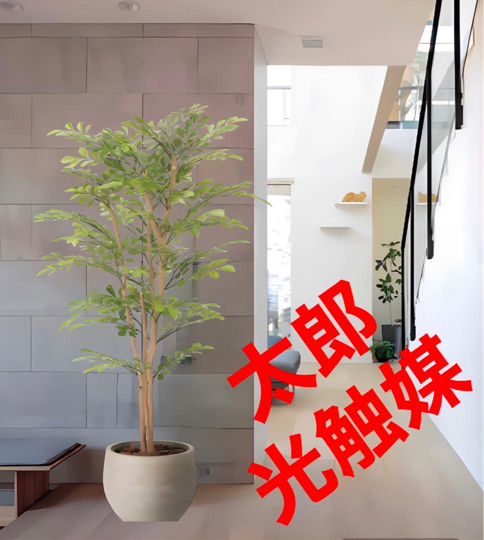 光触媒　人工観葉植物　フェイクグリーン　ナチュラルライトトネリコ1.1