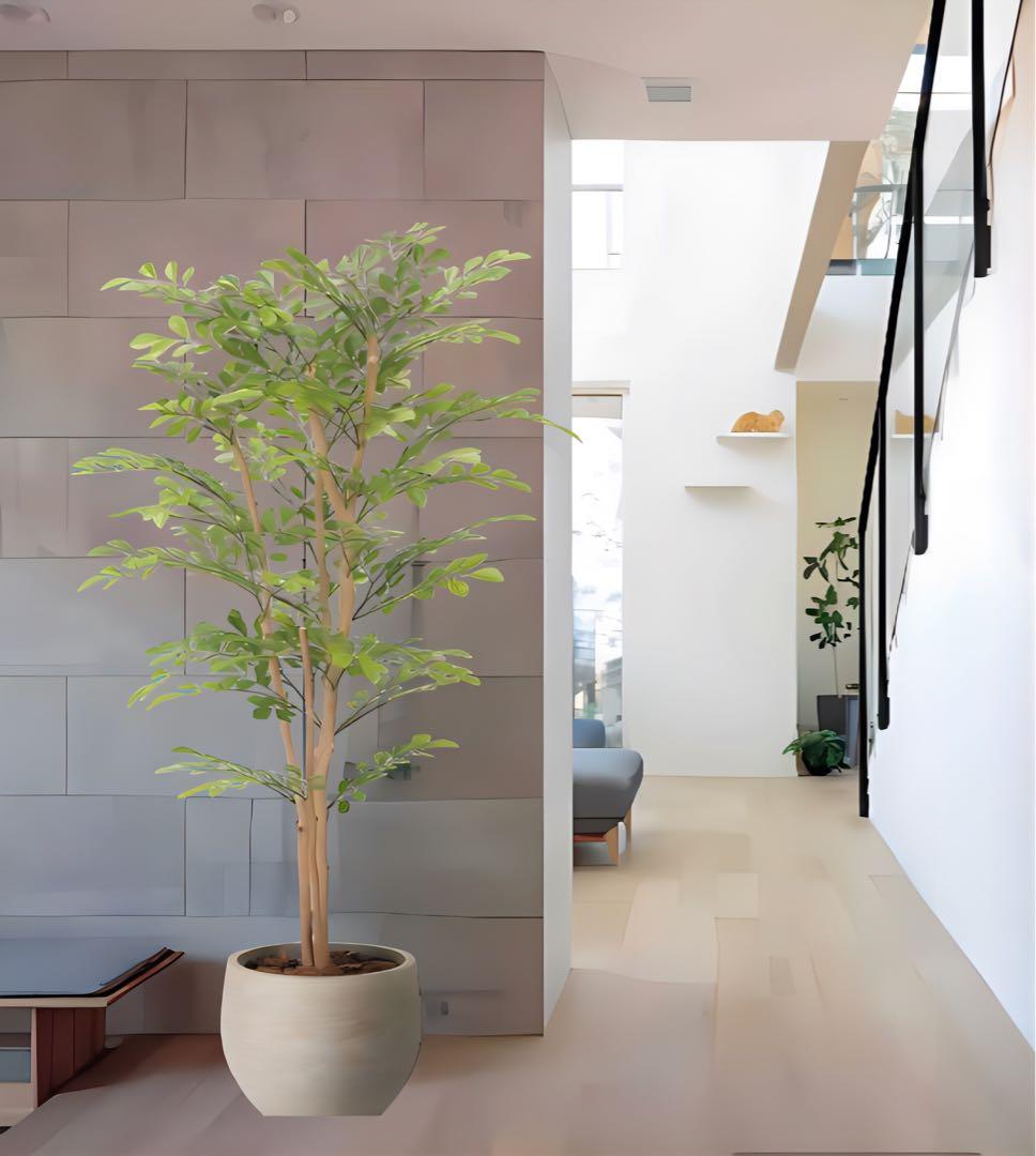 光触媒　人工観葉植物　フェイクグリーン　ナチュラルライトトネリコ1.1