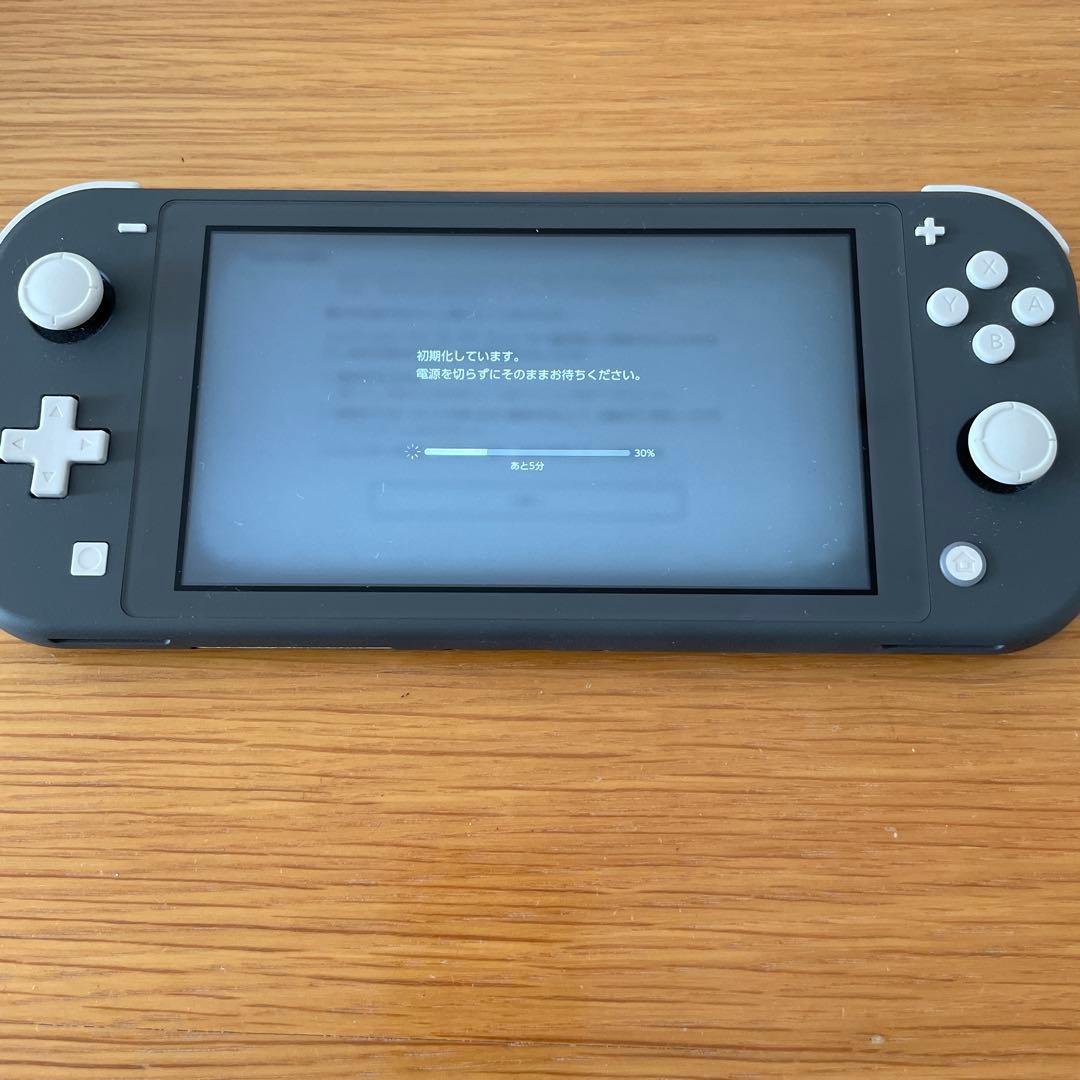 Switch Lite グレー 本体 + SDカード（119GB)+充電スタンド