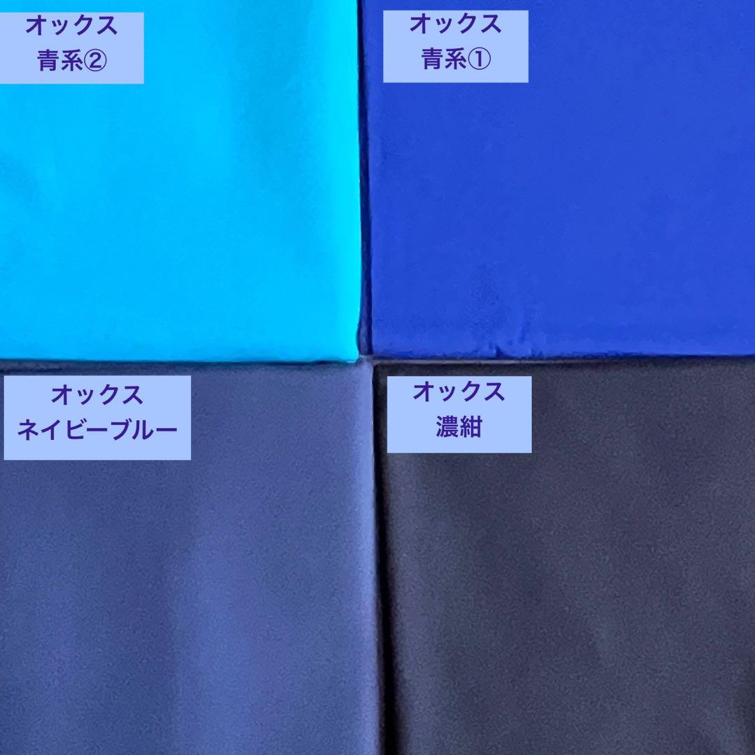 入園入学準備　オーダー受付　新幹線　電車　レッスンバック　巾着袋　上履き袋