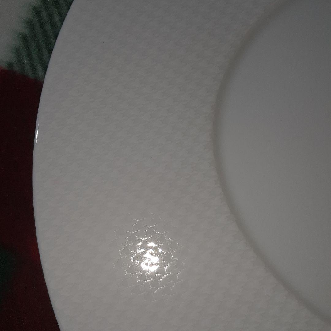 エルキューイ　オマージュ　ビッフェプレート枚セット　27㎝2枚セット　27㎝